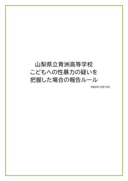 04SV_ruleのサムネイル